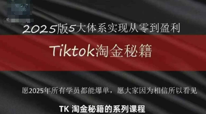 TikTok跨境2025淘金秘籍，​2025TikTok从0到盈利变现-情久项目网