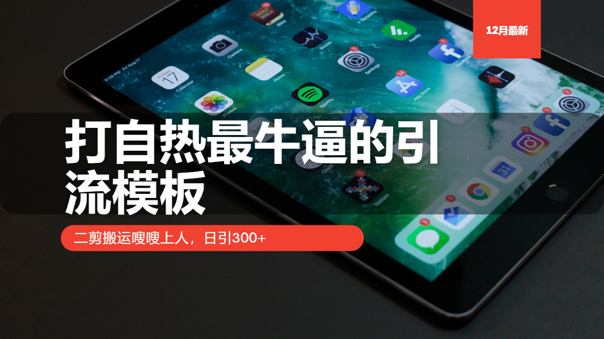 打自热最牛逼的引流模板，二剪搬运嗖嗖上人，日引300+-情久项目网