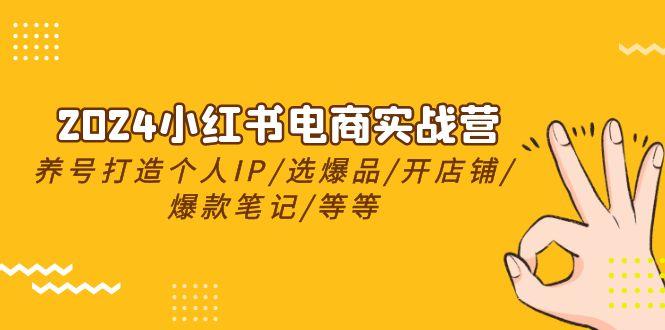 2024小红书电商实战营，养号打造IP/选爆品/开店铺/爆款笔记/等等(24节)-情久项目网