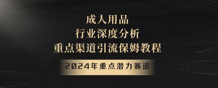 2024年重点潜力赛道，成人用品行业深度分析，重点渠道引流保姆教程【揭秘】-情久项目网
