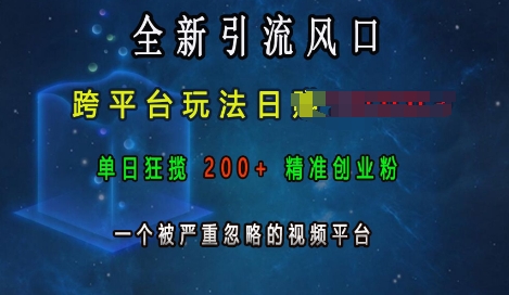全新引流风口，跨平台玩法日入上k，单日狂揽200+精准创业粉，一个被严重忽略的视频平台-情久项目网