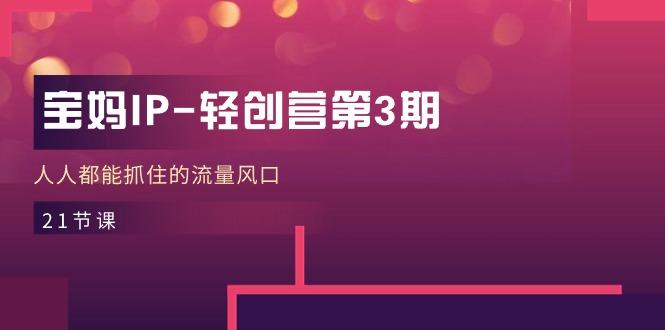 宝妈IP-轻创营第3期，人人都能抓住的流量风口(21节课-情久项目网