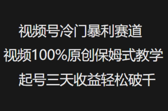 视频号冷门暴利赛道视频100%原创保姆式教学起号三天收益轻松破千-情久项目网