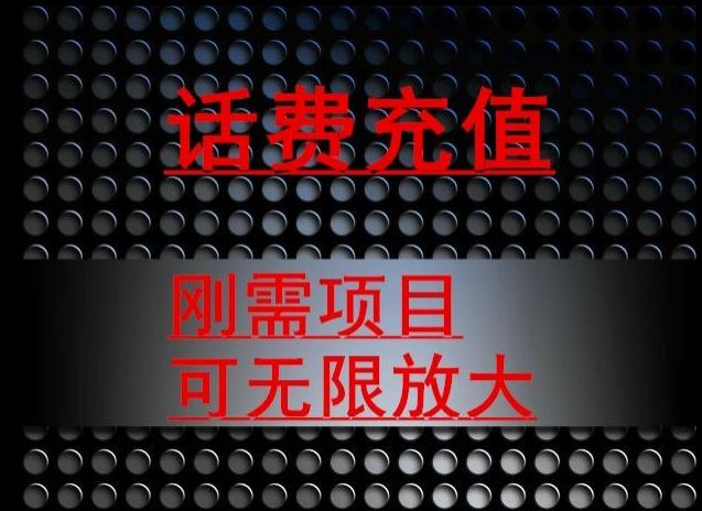 最新蓝海项目，刚需赛道，95折充话费月入5位数-情久项目网