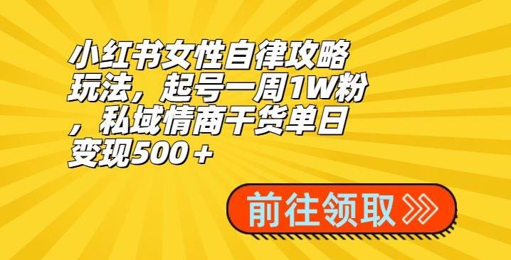 小红书女性自律攻略玩法，起号一周1W粉，私域情商干货单日变现500＋-情久项目网