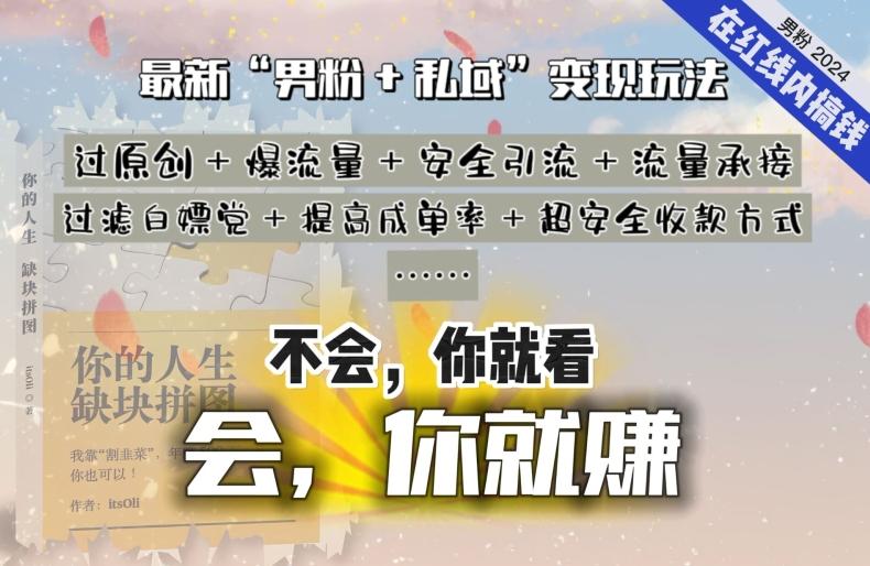 2024，“男粉+私域”还是最耐造、最赚、最轻松、最愉快的变现方式【揭秘】-情久项目网
