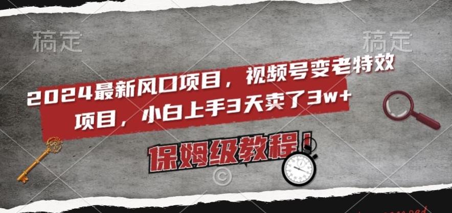 2024最新风口项目，视频号变老特效项目，电脑小白上手3天卖了3w+，保姆级教程【揭秘】-情久项目网