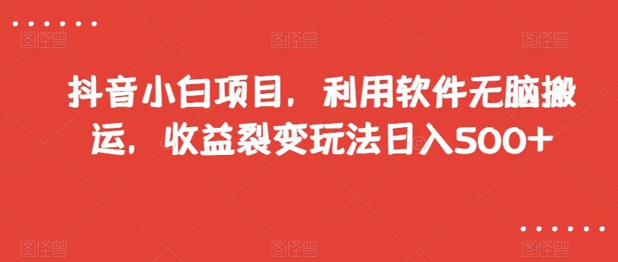 抖音小白项目，利用软件无脑搬运，收益裂变玩法日入500+【揭秘】-情久项目网