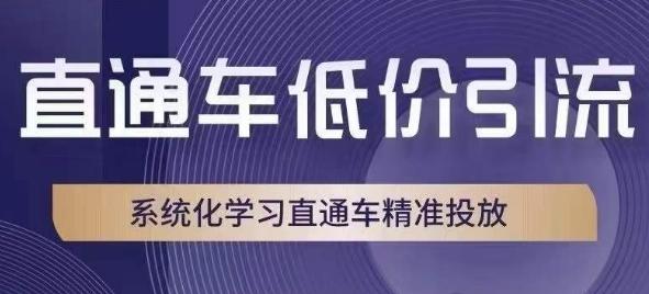直通车低价引流课，系统化学习直通车精准投放-情久项目网