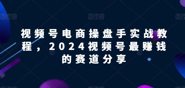 视频号电商实战教程，2024视频号最赚钱的赛道分享-情久项目网