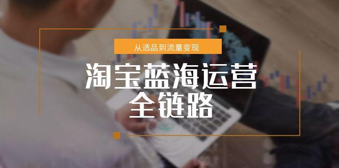 淘宝蓝海运营全链路，从选品到流量变现，小类目突围完整方案-情久项目网