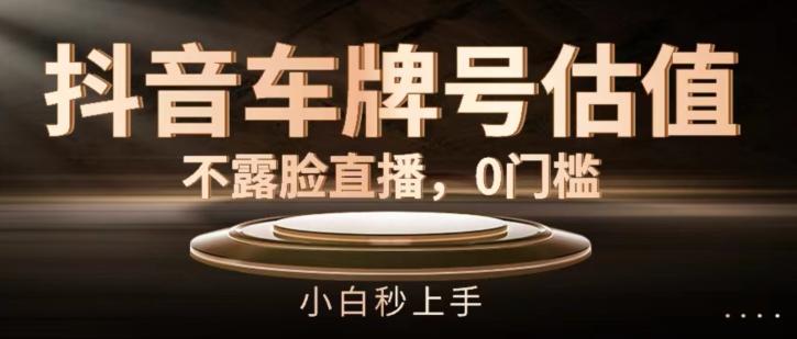 抖音车牌号估值，不露脸直播，0门槛，小白秒上手【揭秘】-情久项目网