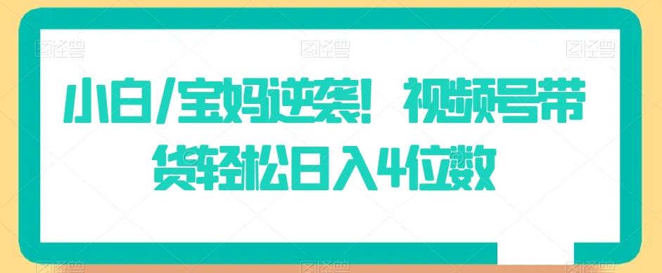 小白/宝妈逆袭！视频号带货轻松日入4位数【揭秘】-情久项目网
