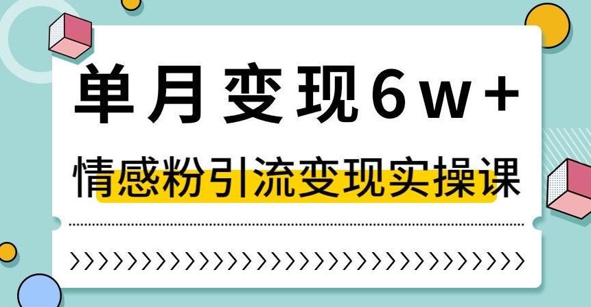 单月变现6W+，抖音情感粉引流变现实操课，小白可做，轻松上手，独家赛道【揭秘】-情久项目网