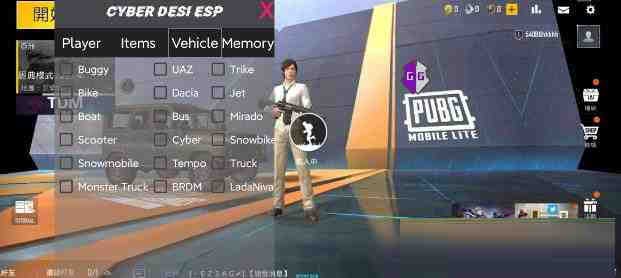 PUBG轻量老外裸奔绘制+自瞄 支持ROOT和框架 里面有全局离线-情久项目网