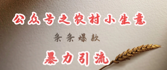 deepseek写农村小项目，条条爆款，暴力引流-情久项目网