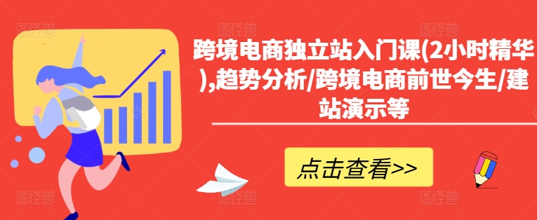 跨境电商独立站入门课(2小时精华),趋势分析/跨境电商前世今生/建站演示等-情久项目网