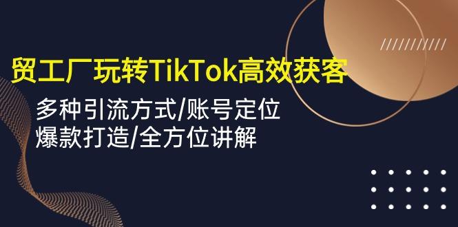 外贸工厂玩转TikTok高效获客，多种引流方式/账号定位/爆款打造/全方位讲解-情久项目网