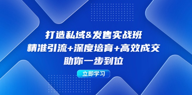 打造私域&发售实操班：精准引流+深度培育+高效成交，助你一步到位-情久项目网