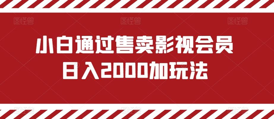 小白通过售卖影视会员日入2000加玩法-情久项目网