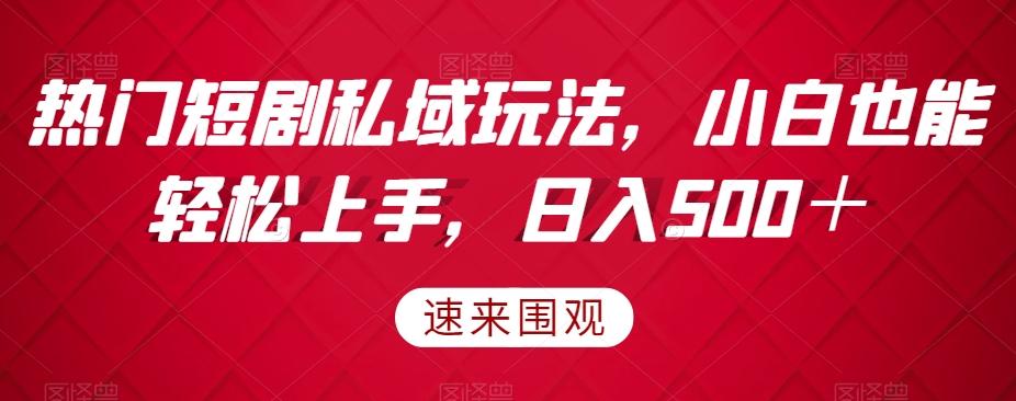 热门短剧私域玩法，小白也能轻松上手，日入500＋-情久项目网