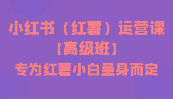 小红书(红薯)运营课【高级班】，专为红薯小白量身而定(42节课)-情久项目网