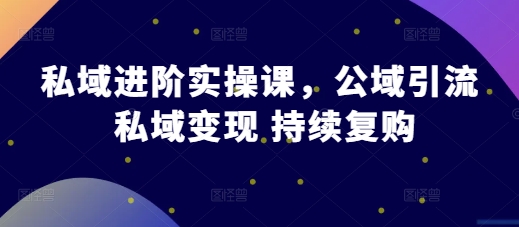 私域进阶实操课，公域引流 私域变现 持续复购-情久项目网
