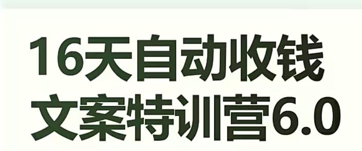 16天自动收钱文案特训营6.0，学会儿每天自动咔咔收钱-情久项目网