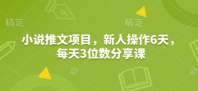 小说推文项目，新人操作6天，每天3位数分享课-情久项目网