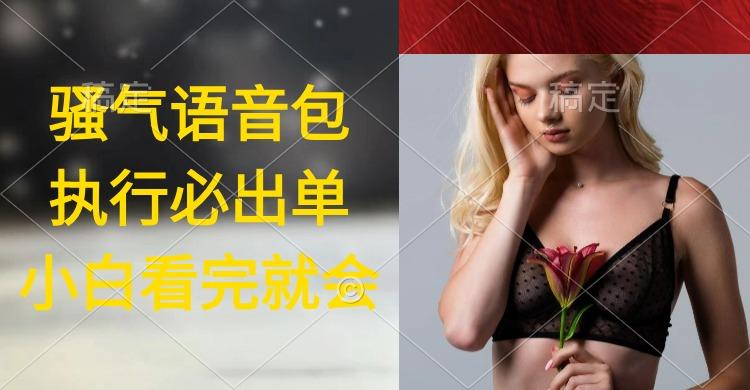 (9589期)执行就出单，日入2000+，超火骚气语音包，小白看完课程就能马上实操-情久项目网