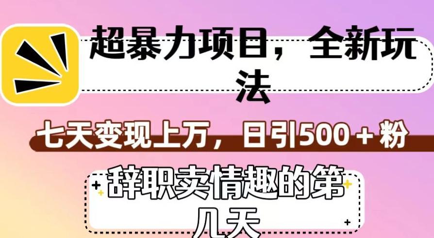 超暴利项目，全新玩法（辞职卖情趣的第几天），七天变现上万，日引500+粉【揭秘】-情久项目网