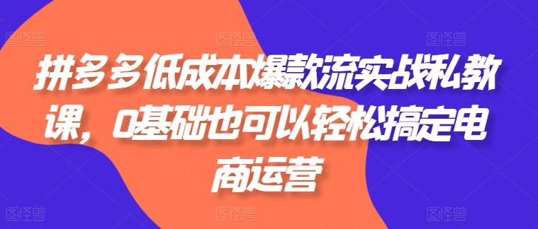 拼多多低成本爆款流实战私教课，0基础也可以轻松搞定电商运营-情久项目网