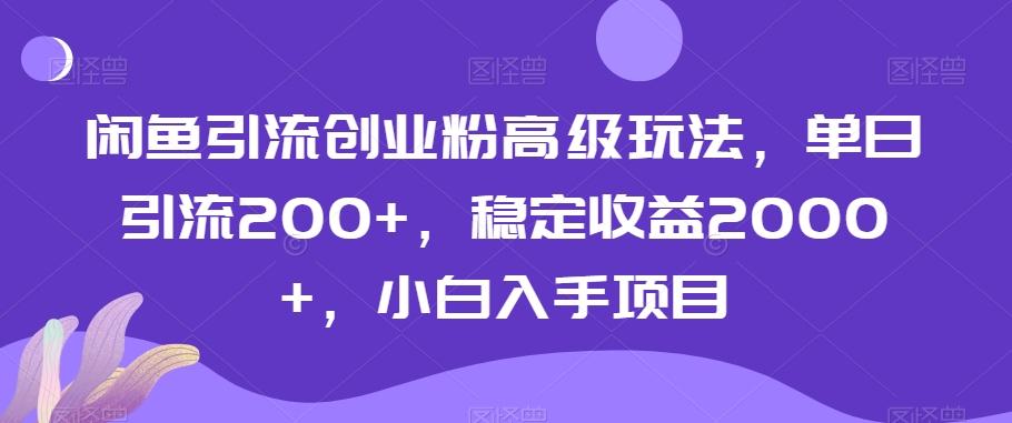 闲鱼引流创业粉高级玩法，单日引流200+，稳定收益2000+，小白入手项目-情久项目网