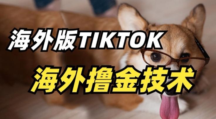 抖音海外版tiktok撸金技术，这个风口行业，赚钱真的不难【揭秘】-情久项目网