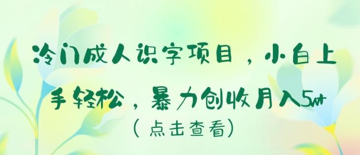 冷门成人识字项目，小白上手轻松，暴力创收月入5w+【揭秘】-情久项目网
