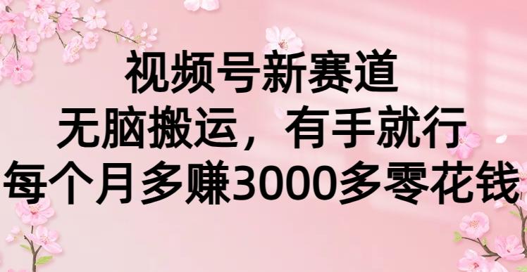 (9278期)视频号新赛道，无脑搬运，有手就行，每个月多赚3000多零花钱-情久项目网