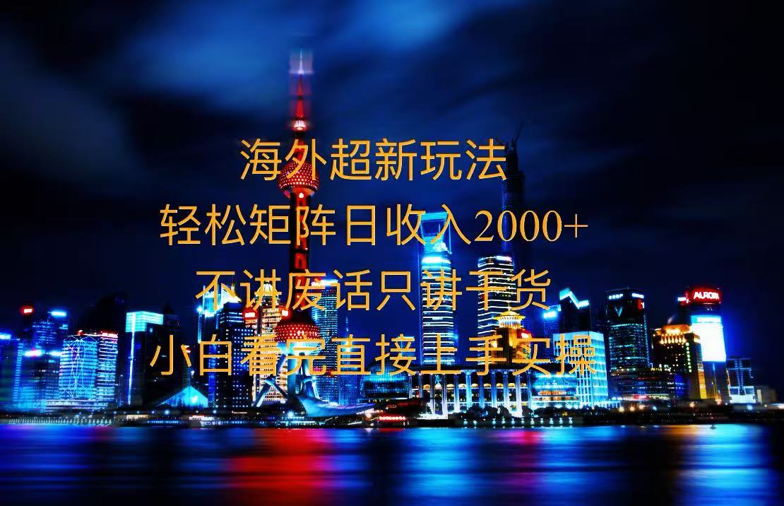 2025全新海外暴力玩法，操作简单，小白轻松上手-情久项目网