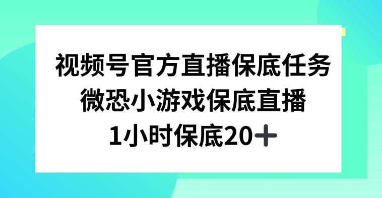 视频号直播任务，微恐小游戏，1小时20+【揭秘】-情久项目网