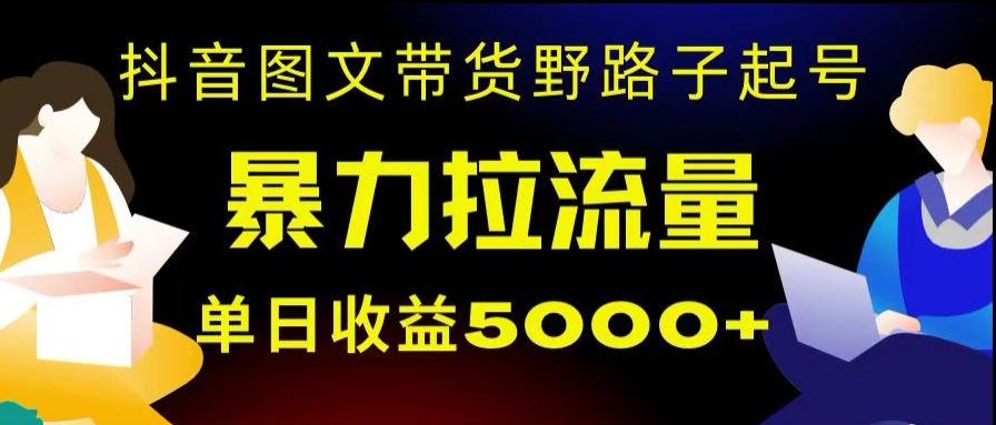 抖音图文带货暴力起号，单日收益5000+，野路子玩法，简单易上手，一部手机即可【揭秘】-情久项目网