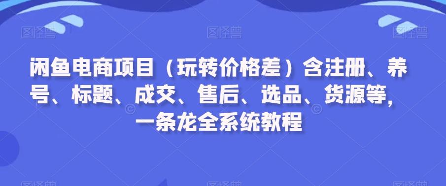 闲鱼电商项目(玩转价格差)含注册、养号、标题、成交、售后、选品、货源等，一条龙全系统教程-情久项目网