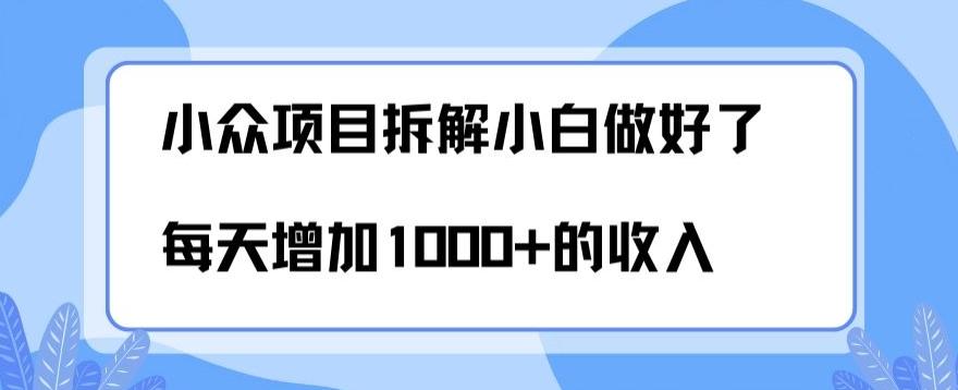 小众项目拆解，小白做好了每天可增加1000多的收入-情久项目网