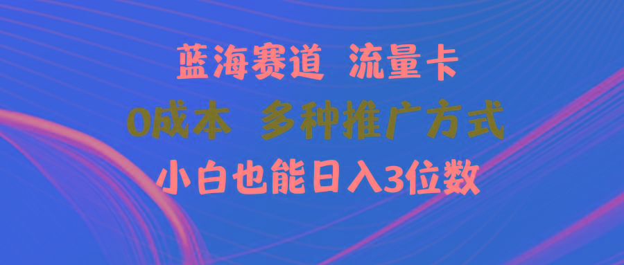 蓝海赛道 流量卡 0成本 小白也能日入三位数-情久项目网