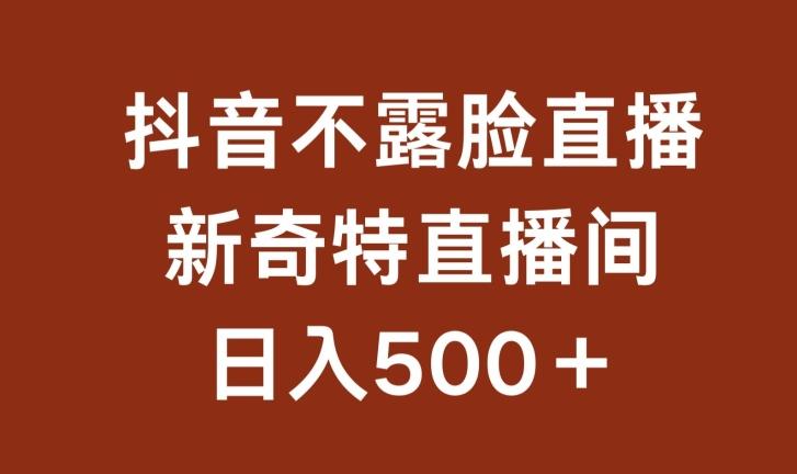 不露脸挂机直播，新奇特直播间，日入500+【揭秘】-情久项目网