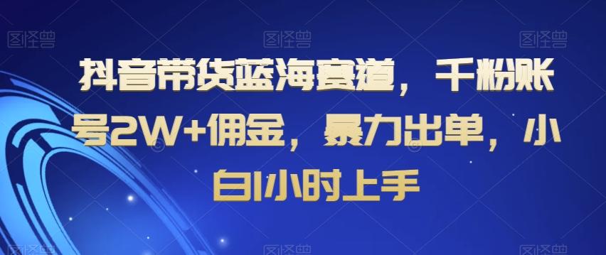 抖音带货蓝海赛道，千粉账号2W+佣金，暴力出单，小白1小时上手【揭秘】-情久项目网