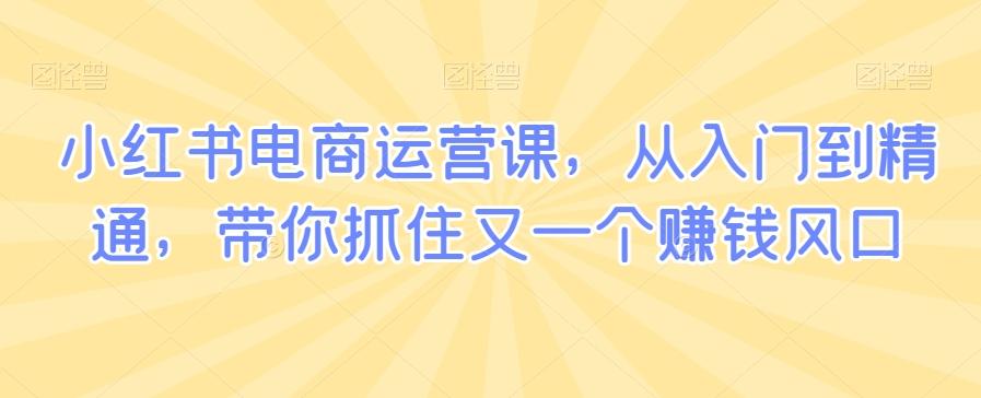 小红书电商运营课，从入门到精通，带你抓住又一个赚钱风口-情久项目网