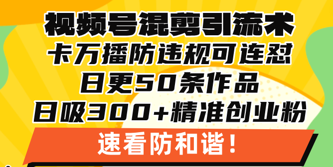 视频号混剪引流技术，500万播放引流17000创业粉，操作简单当天学会-情久项目网