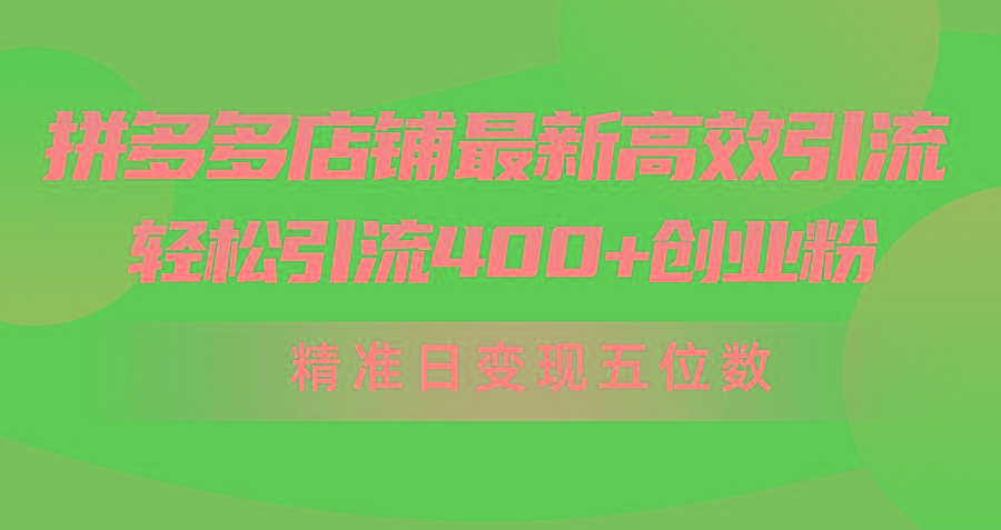 (10041期)拼多多店铺最新高效引流术，轻松引流400+创业粉，精准日变现五位数！-情久项目网