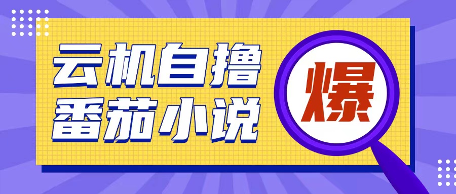 首发云手机自撸小说玩法，10块钱成本可撸200+收益操作简单【揭秘】-情久项目网