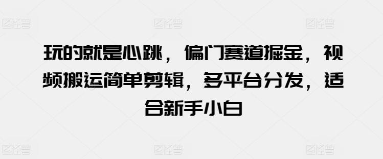 玩的就是心跳，偏门赛道掘金，视频搬运简单剪辑，多平台分发，适合新手小白【揭秘】-情久项目网