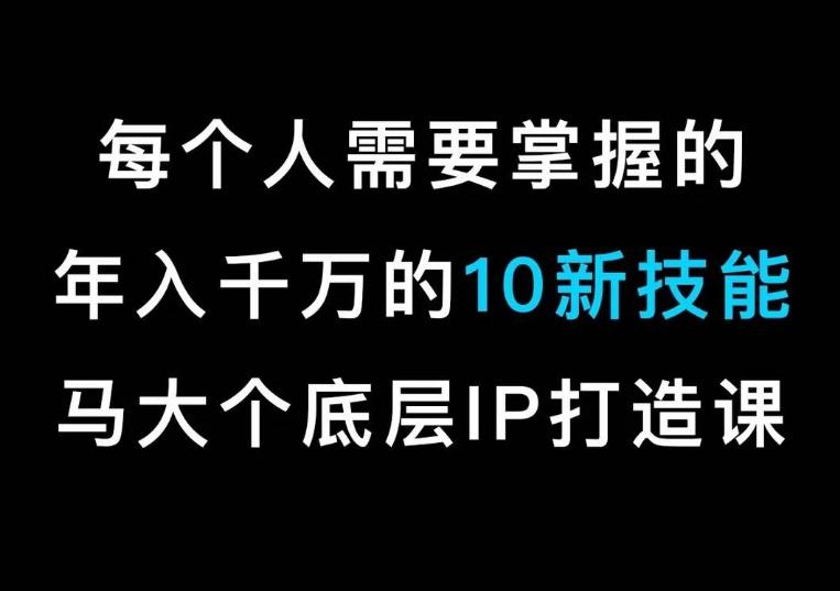 马大个的IP底层逻辑课，​每个人需要掌握的年入千万的10新技能，约会底层IP打造方法！-情久项目网
